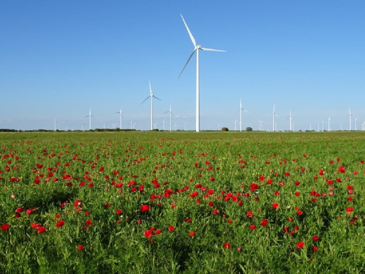 Uprawa uproszczona może zredukować ilości emisji CO2 równoznacznej z emitowaną przez cztery elektrownie węglowe